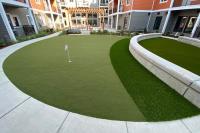 Economy Commercial Landscaping Contractor Seattle image 2